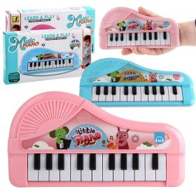 Musical Keyboard; 23 Keys; Music And ABC Songs Pre-Recorded; Educational Music Toys; Carry N' Go Handle (Color: Pink)