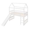 Twin Loft Bed with Slide; House Bed with Slide